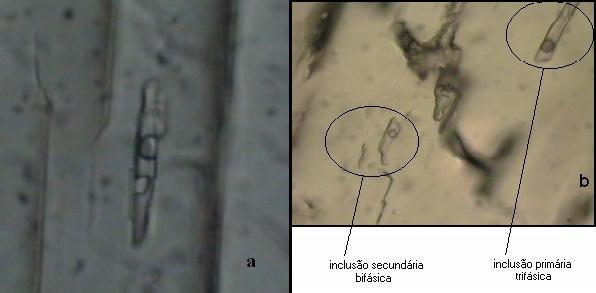 IF secundárias encontradas neste mineral, em sua maioria, são bifásicas (líquido + gás).