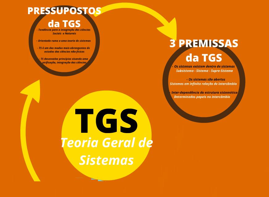 Teoria Geral dos Sistemas EAC 442 Sistemas