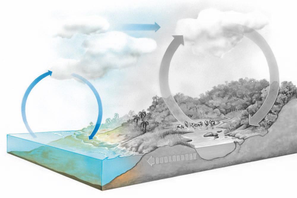 CICLO DA ÁGUA Atmosfera Movimento das nuvens Nuvens