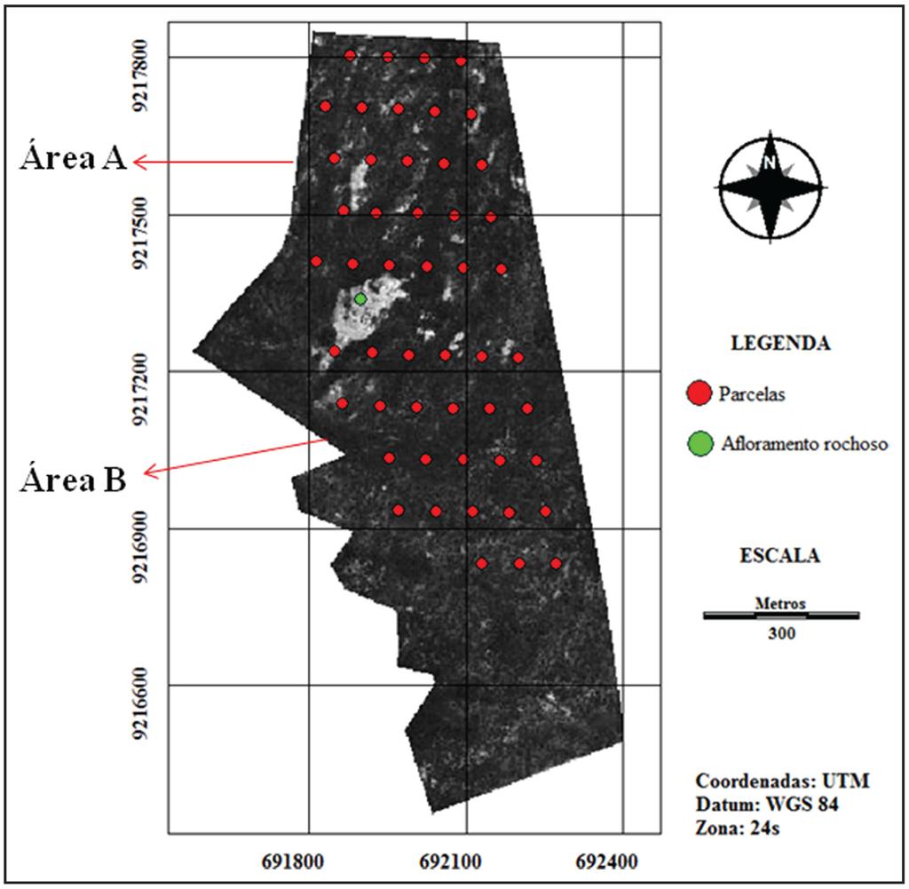 Floresta e Ambiente 2016; 23(4): 487-497 Estrutura da Vegetação em Dois Fragmentos de Caatinga... 489 Figura 1.