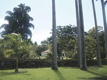 Em sequência à casa-sede, mais ao fundo da propriedade estão as construções que abrigam e definem os espaços de trabalho, tendo à frente dois amplos