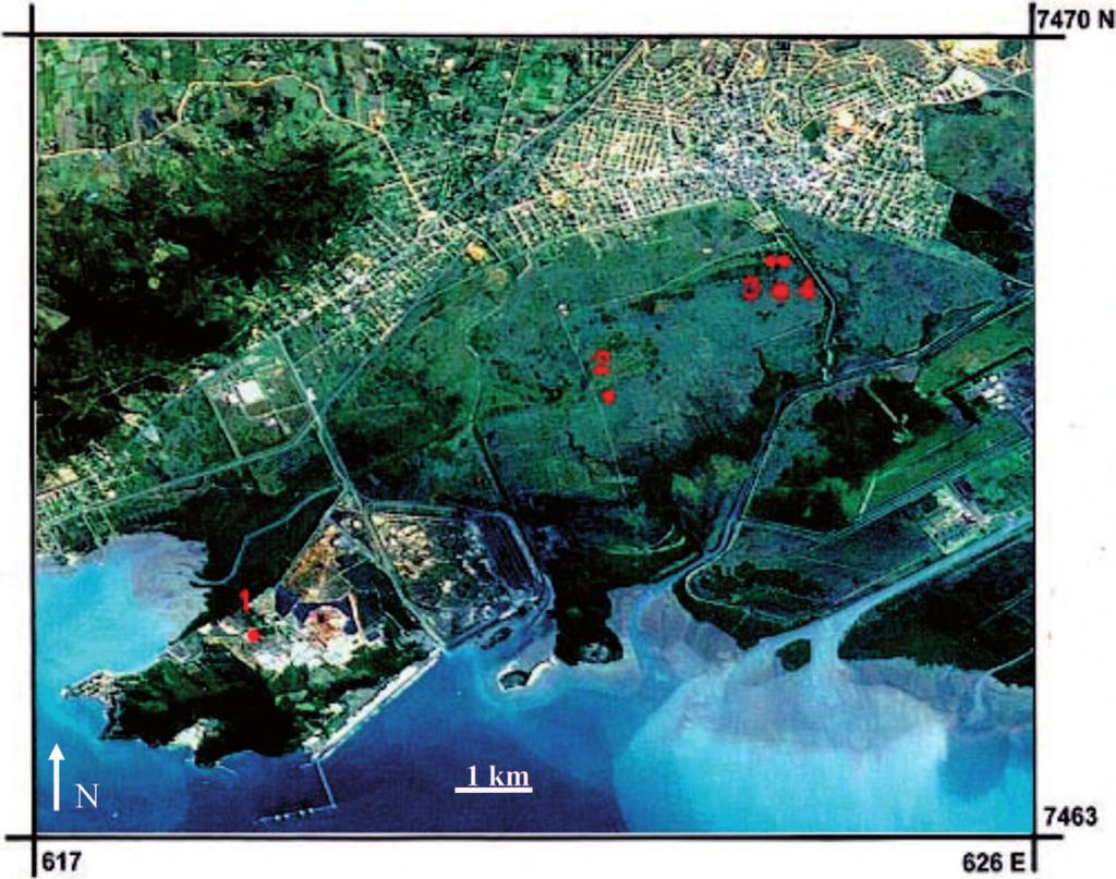 EVOLUÇÃO HOLOCÊNICA DA PLANÍCIE COSTEIRA DE ITAGUAÍ, BAÍA DE SEPETIBA/RJ... Figura 6 Mapa de localização das amostras de conchas coletadas para 14 C.