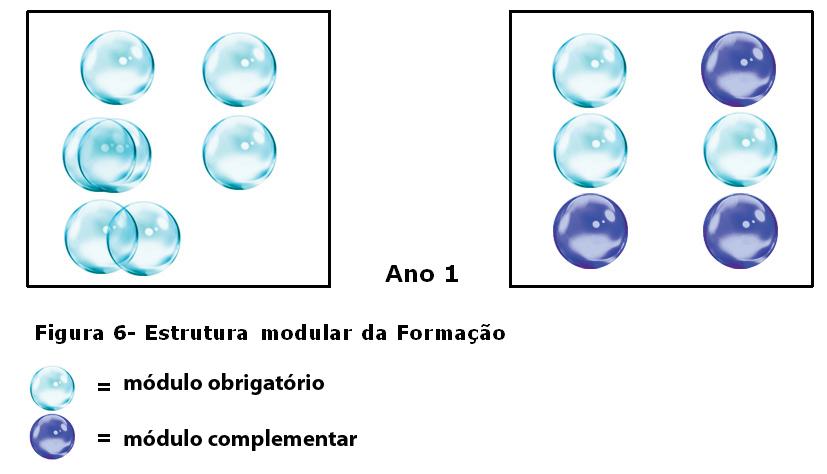 formadoras, possam escolher um elenco de módulos que se ajustem a sua realidade escolar.