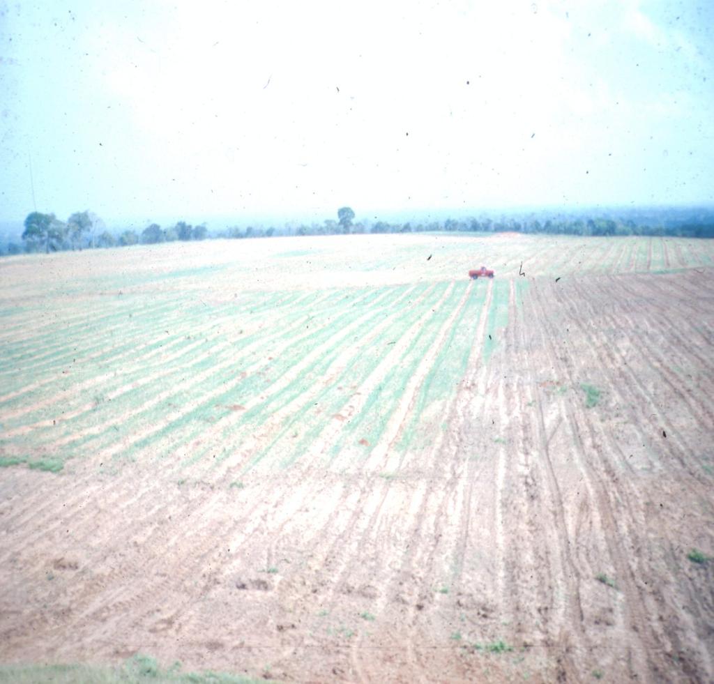 Solo Florestal # Agrícola Tempo