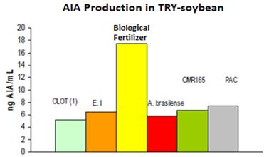 kg ha-1 Eficiência Nutricional e Produtividade (Fase 2) Presença de hormônio AIA, que estimula o enraizamento Graph: AIA content in bacterial cultures. Samples: (1) CLOT; (2) E.l.; (3) MICROGEO ; (4) A.