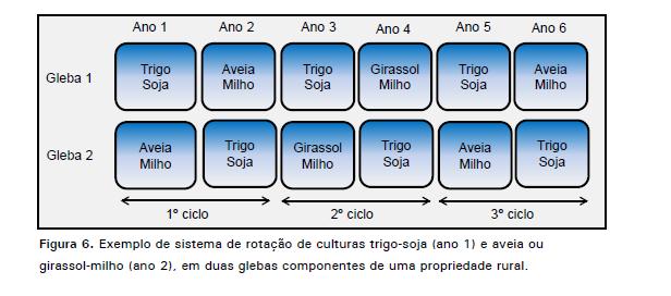 Sistema de Produção em