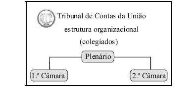 (CESE/TCU) Dentro da estrutura organizacional do TCU, o colegiado mais importante é o lenário, que é composto por 9 ministros, 2 auditores e procuradores.