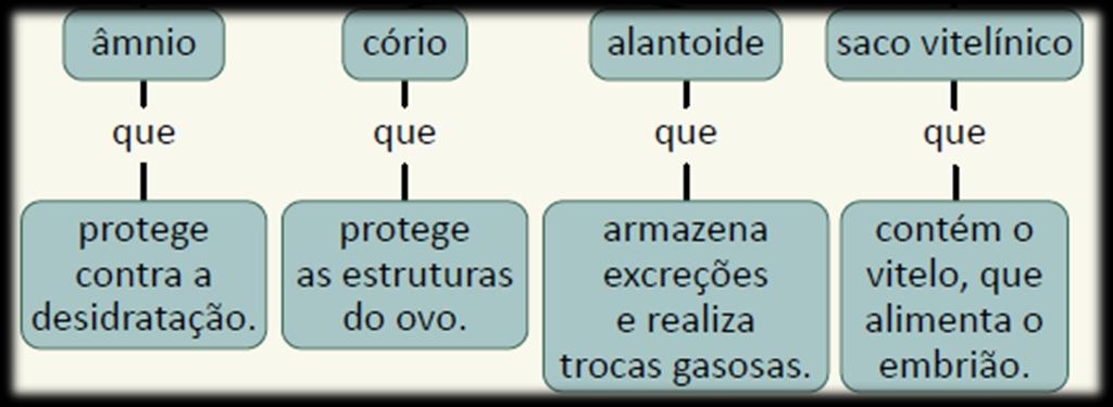 Características Gerais Ovo com casca impermeável Anexos