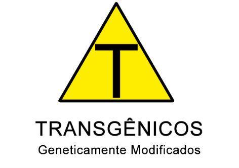 QUEM CONTROLA A LIBERAÇÃO DE ORGANISMOS GENETICAMENTE MODIFICADOS?