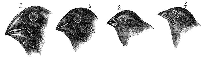 3.2.a) Observações e