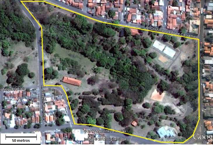 Quiropterofauna do Parque João Domingos Coelho.235 Campo Os quirópteros foram capturados com duas redes de neblina armadas a partir do crepúsculo e fechadas seis horas depois.