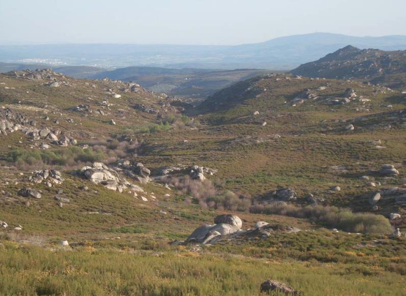 ANEXO A Descrição das obras A.3 BARRAGEM DE MONTESINHO (VEIGUINHAS) (com base no relatório da Cenor de 2012) Dono de obra: ATMAD 1.