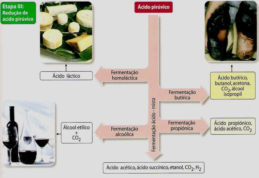 ETAPA II- Formação de ácido pirúvico Durante esta etapa, ocorrem reacções oxidação e redução que conduzem à