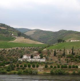 e Porto, incluindo o sector cooperativo, colaborar com o Instituto de Turismo de Portugal na implementação do Plano de Desenvolvimento Turístico do Vale do Douro, valorizar as potencialidades de