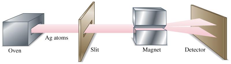 Spin Experimento de Stern-Gerlach(1922): Um feixe de átomos de prata se divide em dois quando passa por um campo magnético: Spin: Momento angular intrínseco