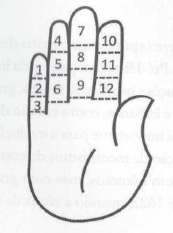 Primeiros Métodos de Cálculo - DEDOS dactilonomia sexagesimal (Wazlawick, 2016) Polegar toca cada um dos outros dedos da mesma mão em 3 pontos (na