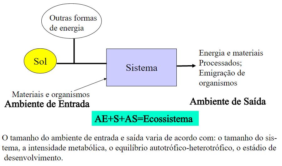 Modelo de