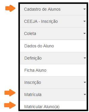 1. Perfis A Matrícula de Aluno está disponível para os seguintes perfis: Rede Estadual Rede Municipal Rede Privada Centro Paula Souza Rede Federal Agente de Organização Escolar Secretário - Outras