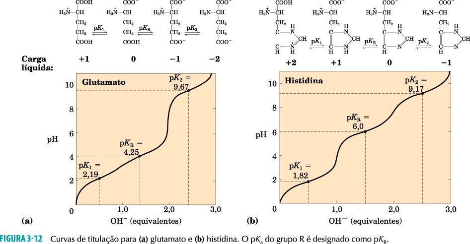 Curvas de titulação predizem a carga elétrica dos aminoácidos Alguns