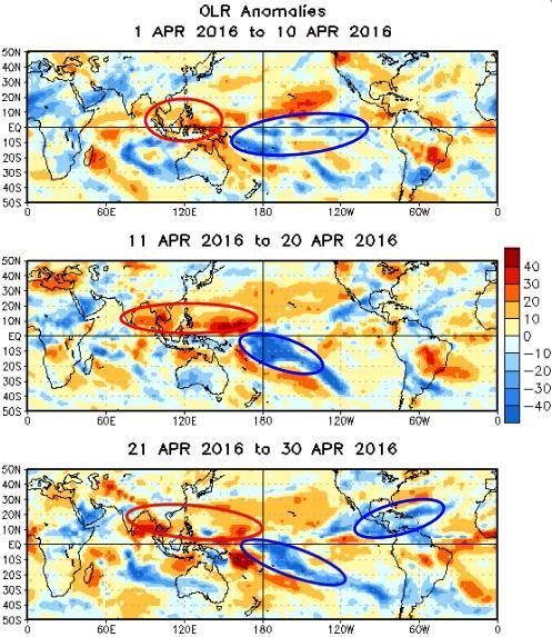 Para o primeiro trimestre de 2016 a Oscilação Antártica, analisado pelo Índice da Oscilação Antártica, se mostrou em sua grande maioria na fase positiva - índice positivo, com algumas pequenas