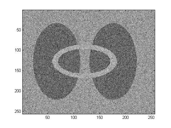 Figura 7. Imagem contaminada por ruído (SNR = 0). Figura 9. Impressão digital provida de ruído. Figura 10. Imagem suavizada por (2). Figura 8. Imagem restaurada pelo modelo.