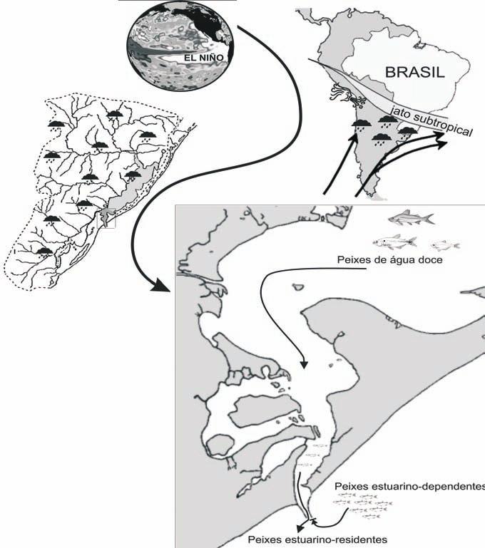 87 A Assembleia de Peixes 1 2 3 4 Fig. 7-5.