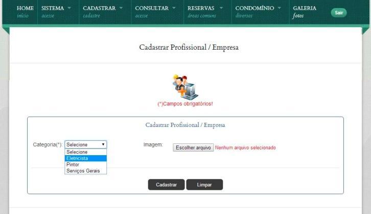 8 Cadastrar profissional Visível somente para o nível Admin, tem como objetivo produzir um catálogo com cartões de visitas dos profissionais e empresas.