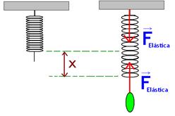 Assim a força elástica possui a forma: Seu módulo é calculado pelo produto: F = kx P=mg Dica: Na Lua, a aceleração da gravidade é menor (cerca de 6 vezes menor).