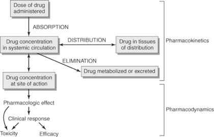 A.D.M.E. Farmacocinética vs. Farmacodinâmica Vias de administração Entéricas vs Parentéricas?