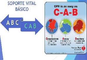 Por isso, o protocolo de suporte básico sofreu uma alteração de A-B-C para C-A-B. Google Imagens. Provavelmente a mudança de maior repercussão é a retirada da vasopressina do suporte avançado.