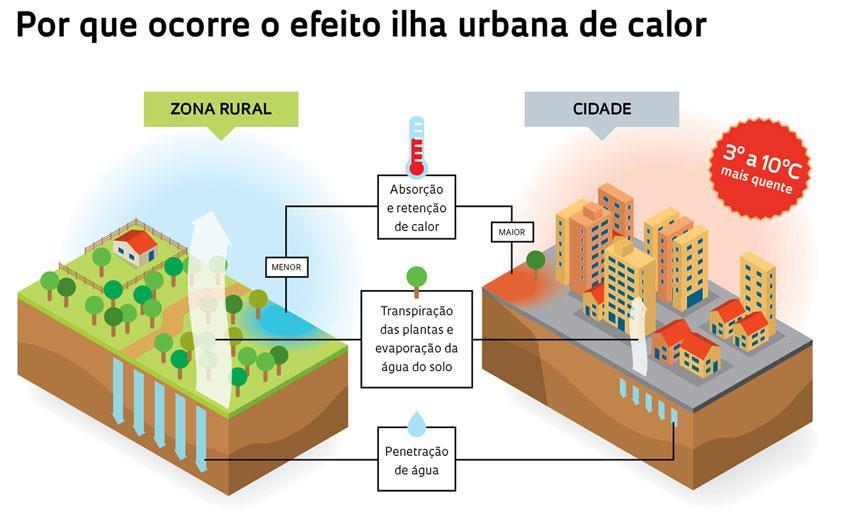 Vegetação Impede a incidência direta dos raios solares na superfície, amenizando o aquecimento.