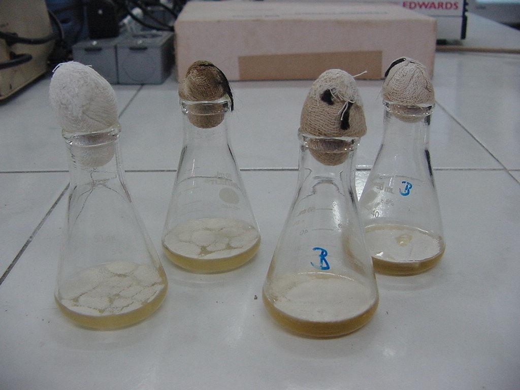 Capítulo III Material e Métodos 70 aproximadamente 2 ml era retirada e colocada em cubetas de plástico, para proceder a leitura. Foi utilizada água destilada como branco (Begot et al., 1996).