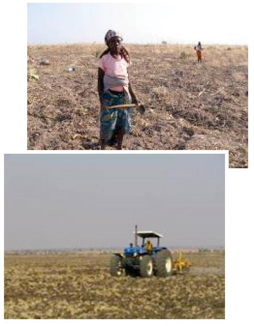 54 DIÁRIO DA REPÚBLICA Central onde as características climáticas garantem colheitas anuais relativamente regulares em exploração de sequeiro; as áreas pouco povoadas do Leste de Angola, com a