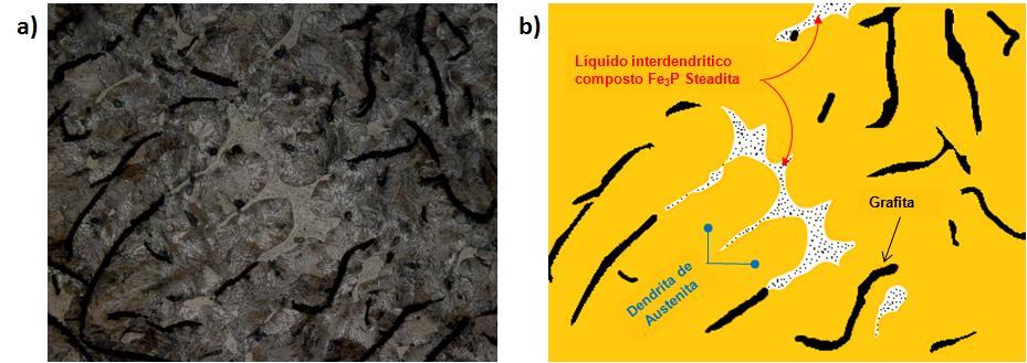 108 Figura 68 Esteadita: a) ferro fundido cinzento contendo 1,0%