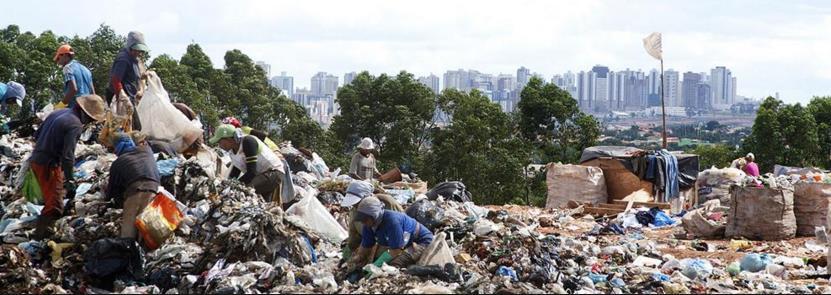 A apenas 15 quilômetros do Palácio do Planalto, centenas de brasileiros e brasileiras, inclusive idosos e crianças, disputam o lixo de Brasília para sobreviver.