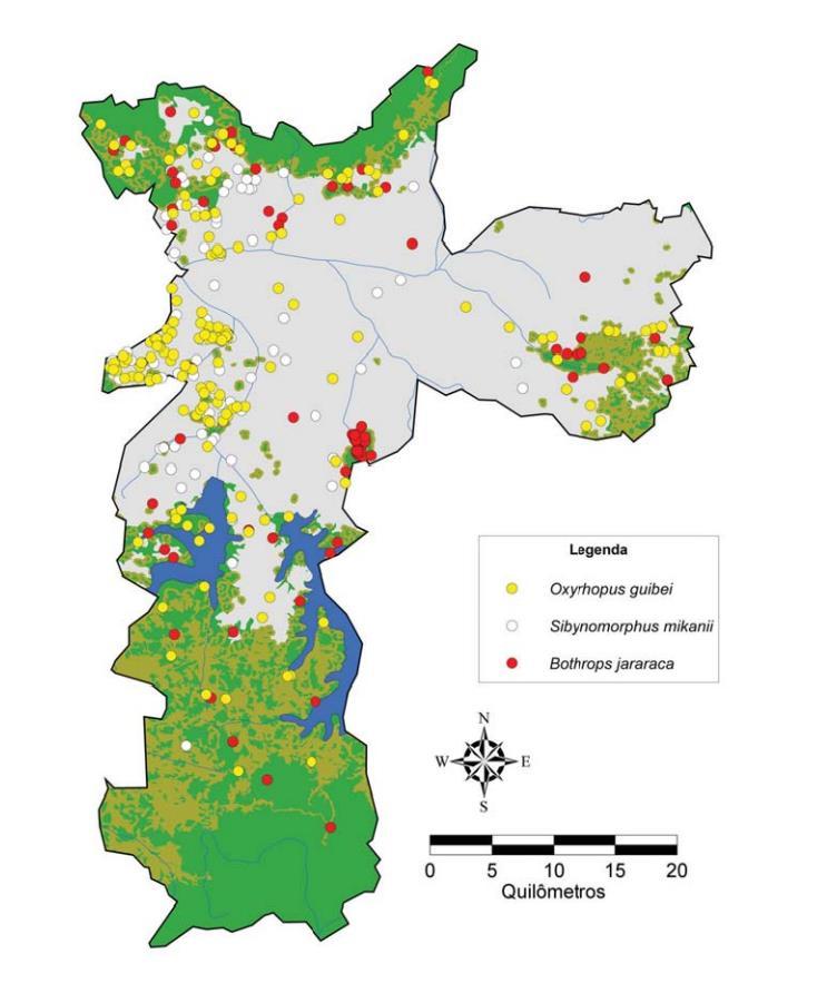 5 Figura 2: Distribuição de Bothrops jararaca no Brasil. Fonte: MELGAREJO, 2009.