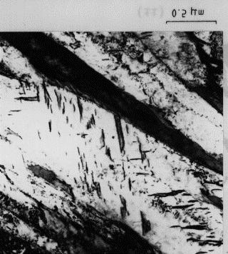 20 FIGURA 2.10: Micrografia de uma bainita inferior mostrando a precipitação de carbonetos no interior da ferrita bainítica (Bhadeshia e Edmonds, 1999).