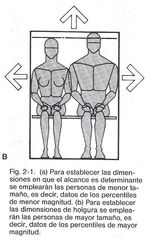 As medidas antropométricas dinâmicas são a base para