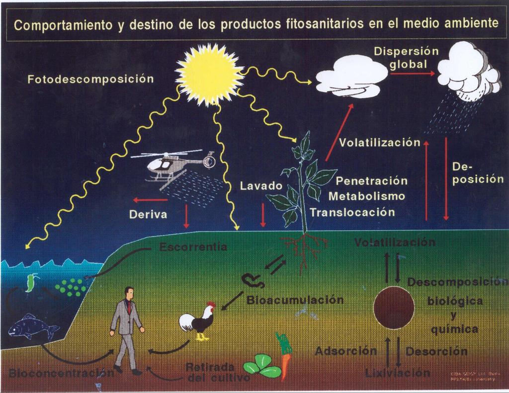 AGROTÓXICOS -