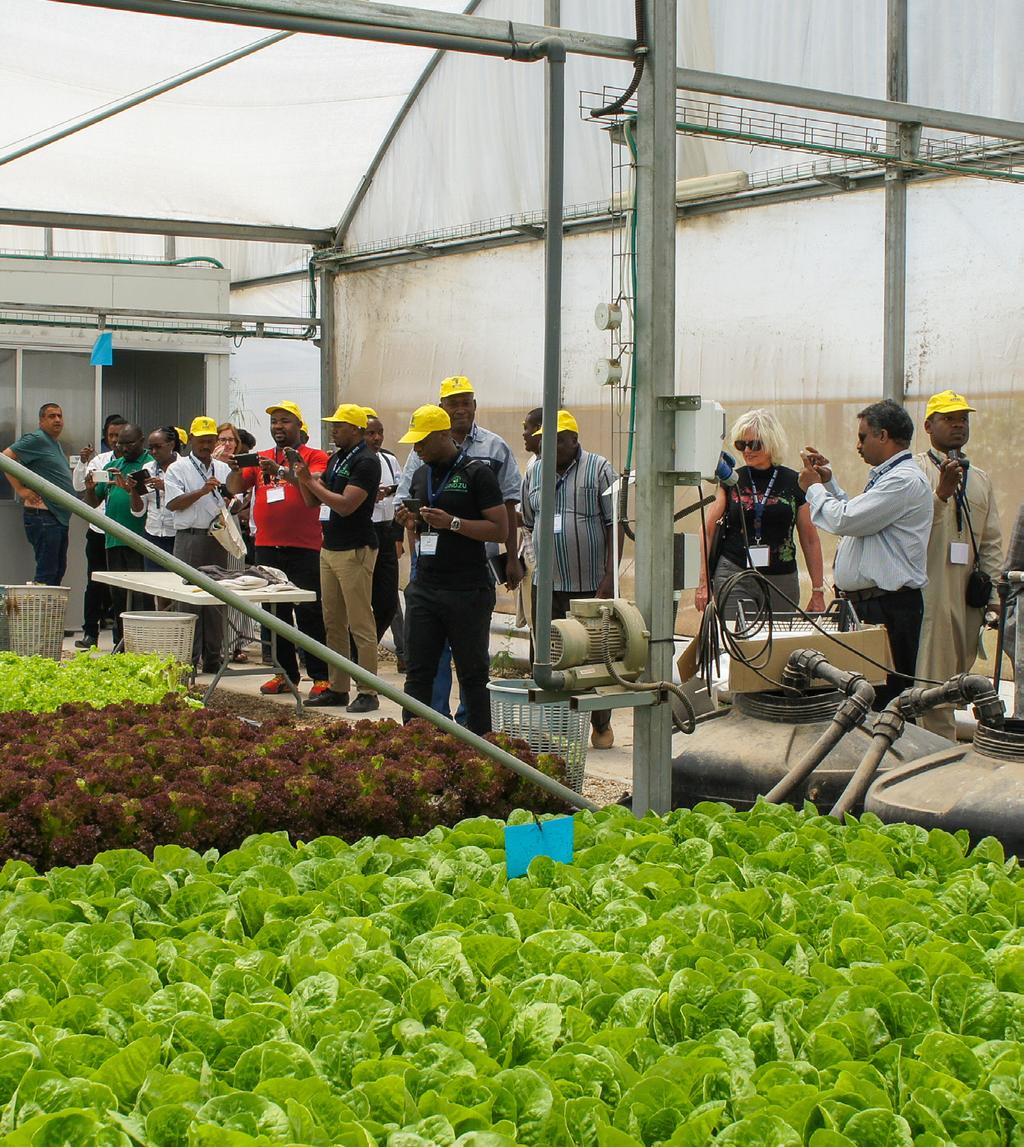 16ª Missão Empresarial Agrícola África-Israel PROGRAMMA 10-13 de