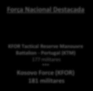 KFOR Tactical Reserve Manouvre Battalion - Portugal (KTM) 177