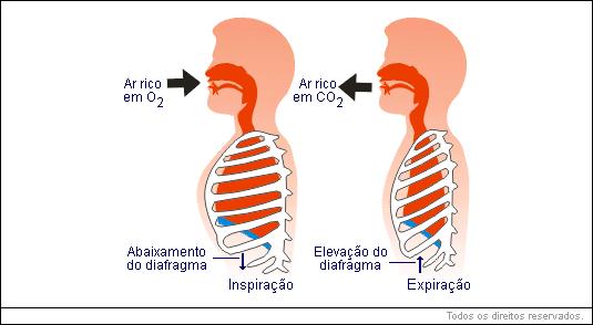 Mecânica