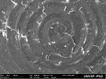 D) Micrografia (aumento de 250x) obtido por MEV da superfície de aço 316 revestido por filme de carbono-tipo diamante () depois do processo de corrosão.