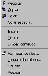 Para marcar apenas uma parte da coluna, posicione o ponteiro do mouse no centro da primeira célula ( será mostrado uma cruz branca ) e arraste o mouse sobre as