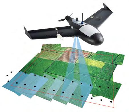 Florestal; Inventários Florestais; Produção de Cartografia e Fotointerpretação de Fotografias Satélite; Estudos de Impacte Ambiental e Levantamentos de Biodiversidade; Estudos de