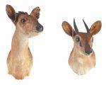 Base/Estimativa: 80/ 120 636 Dik Dik 2 troféus de caça, também conhecidos por reedbuck e suny. Defeitos. (2) Alt. Aprox. maior: 35 cm.