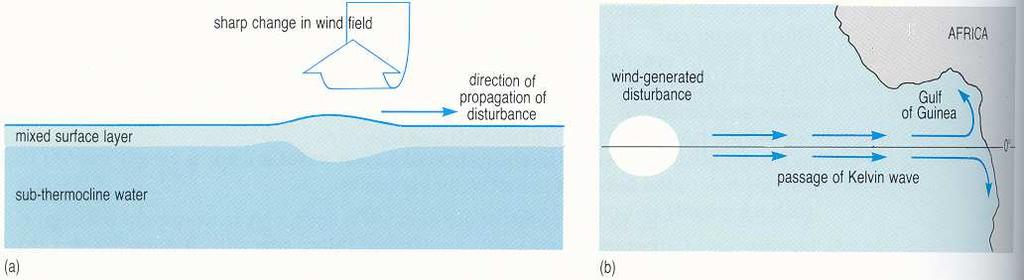 Existem dois tipos de ondas de Kelvin, costeiras e