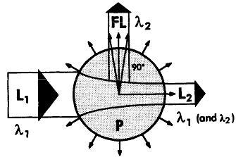 36 Figura 2.20: Princípio da fluorescência, o comprimento de onda da luz fluorescente, λ2, é maior que o comprimento de onda da luz incidente, λ1. A luz transmitida contém ambos comprimentos de onda.