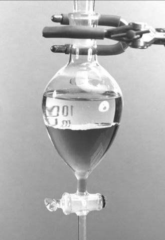 13: Amostra com triclorometano durante a fase de extração do óleo.