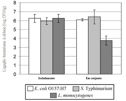 capacidade de fixação (Yang et al., 2003). Por este mesmo motivo a competição entre microrganismos deve ser considerada. Figura 2 Diferentes taxas de fixação bacteriana em alfaces (Yang et al., 2003). 2.5.